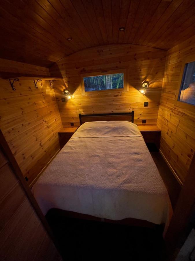 Alpine Love Shack Villar-Saint-Pancrace 外观 照片